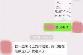 承德为什么选择专业追讨公司来处理您的债务纠纷？